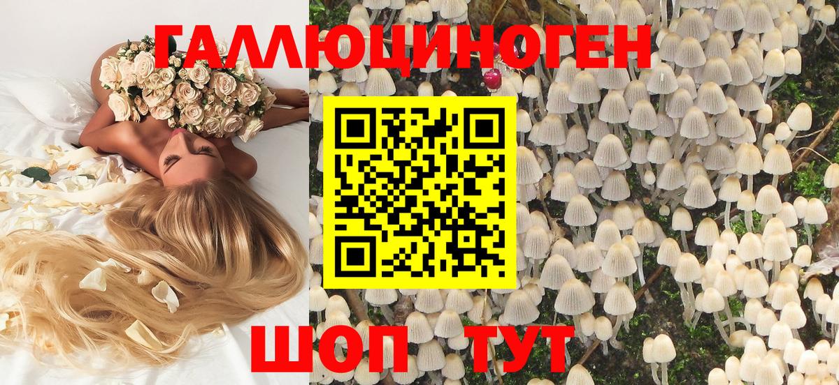 Псилоцибиновые грибы Psilocybe  Вход с VPN  Кимры 